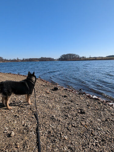 Wingfoot Lake State Park