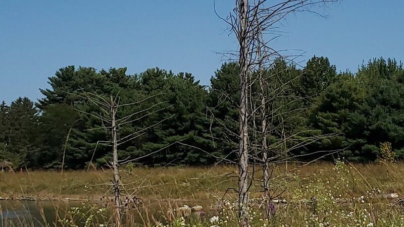 Cannonball Prairie Metropark - Monclova Township, OH