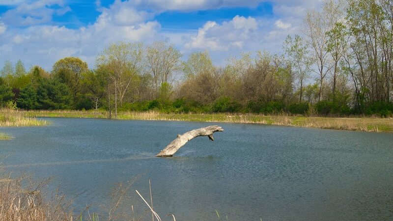 Cannonball Prairie Metropark - Monclova Township, OH