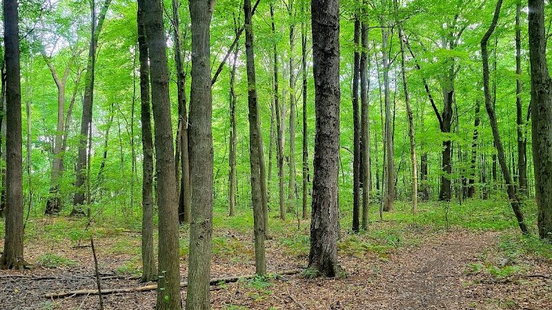 Cannonball Prairie Metropark - Monclova Township, OH