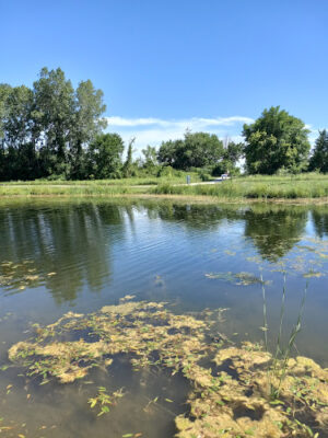 Cannonball Prairie Metropark
