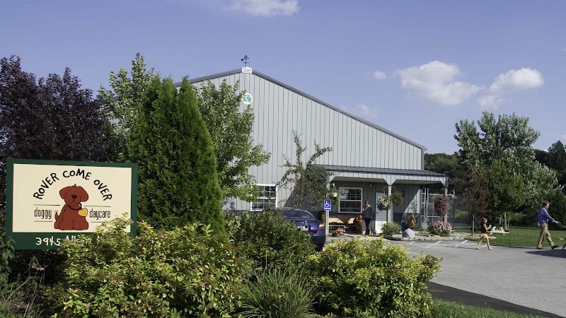 Rover Come Over Doggy Daycare - Monclova Township, OH