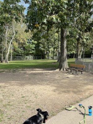 Monroeville Dog Park
