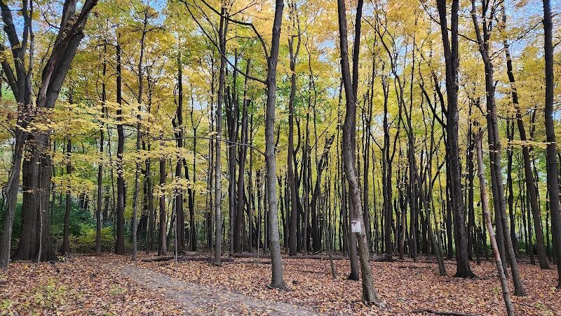 Monroeville Dog Park - Monroeville, PA