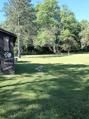 Hueston Woods Dog Park