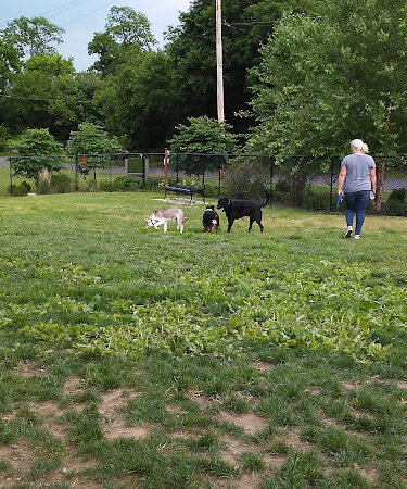 Morrisville Dog Park