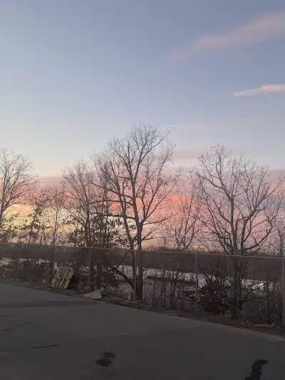 Wright Township Dog Park - Mountain Top, PA