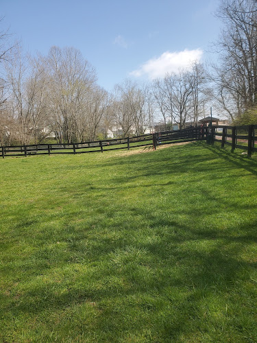 Dog park