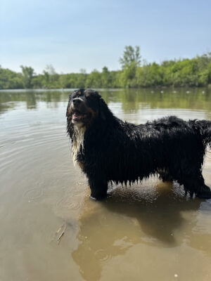 Deer Creek Dog Beach / Fishing Area