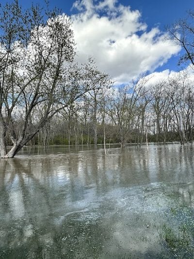 Doe Shelter - Mt Sterling, OH