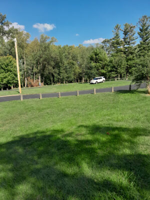 Doe Shelter