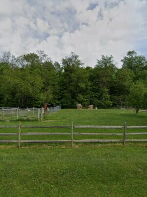 Wolf Run Dog Park