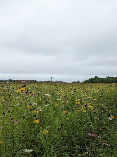 Wolf Run Regional Park - Mt Vernon, OH