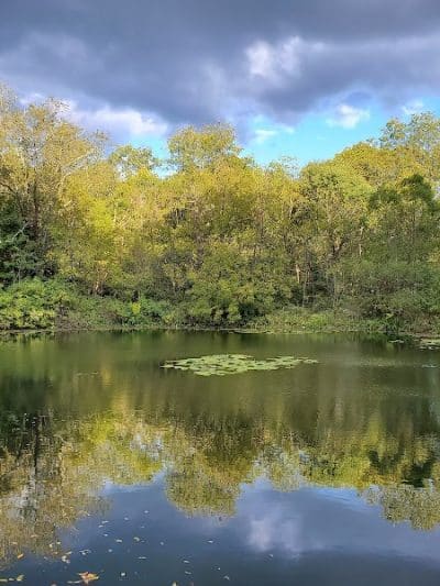 Wolf Run Regional Park - Mt Vernon, OH