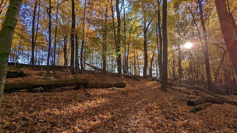Wolf Run Regional Park - Mt Vernon, OH