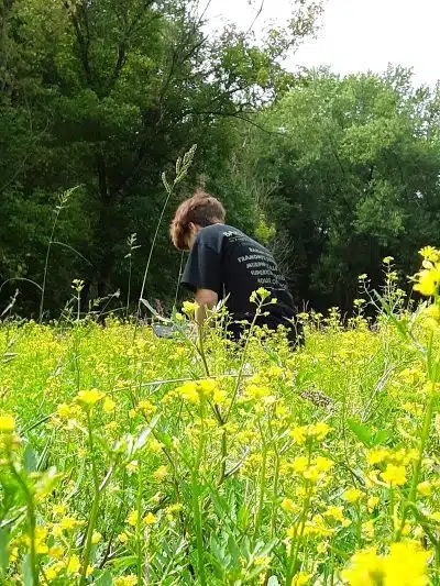 Craig Pittman Memorial Park - Navarre, OH