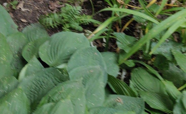 Monday Creek Trailhead - Nelsonville, OH