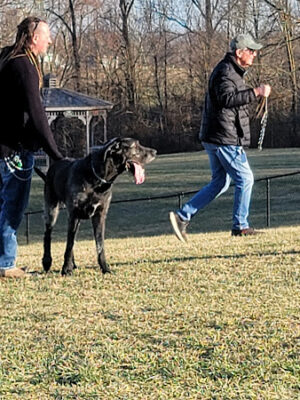 New Albany Dog Park