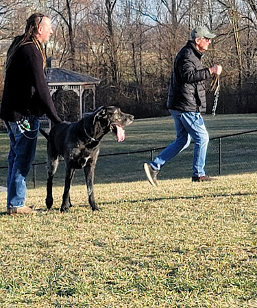 New Albany Dog Park
