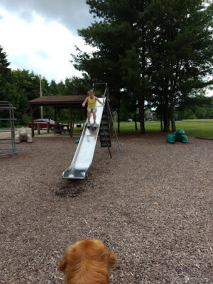 Jefferson Community Park