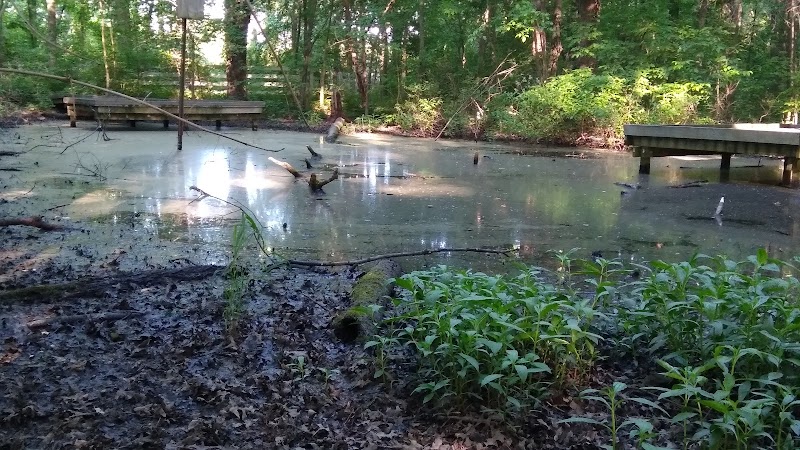 New Albany Nature Preserve and Wetlands - New Albany, OH