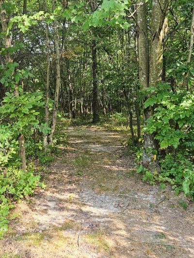 New Albany Nature Preserve and Wetlands - New Albany, OH