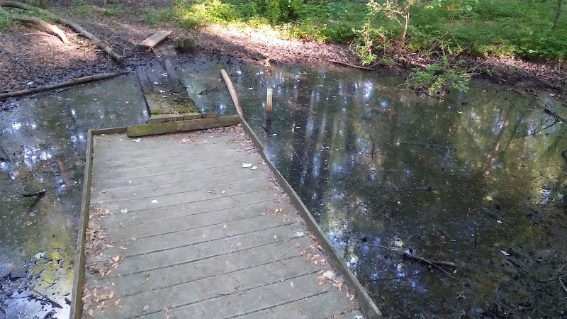 New Albany Nature Preserve and Wetlands - New Albany, OH