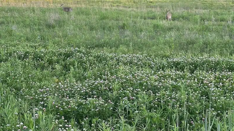 Taylor Farm Park - New Albany, OH