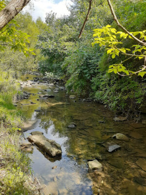 William Resch Park