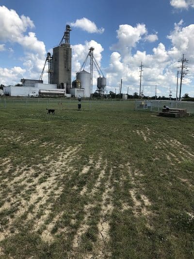 New Bremen Dog Park - New Bremen, OH