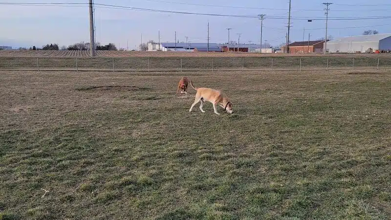 New Bremen Dog Park - New Bremen, OH
