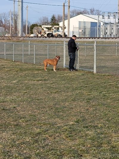 New Bremen Dog Park - New Bremen, OH