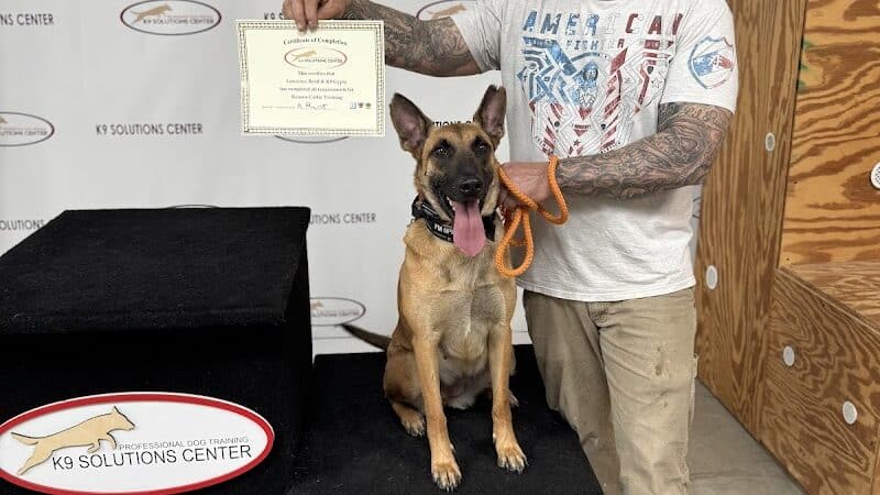 K9 Solutions Center - New Carlisle, OH