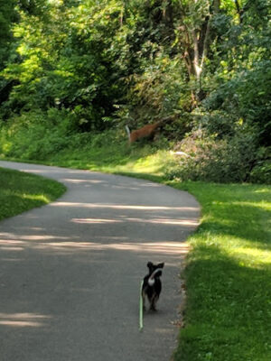Smith Park