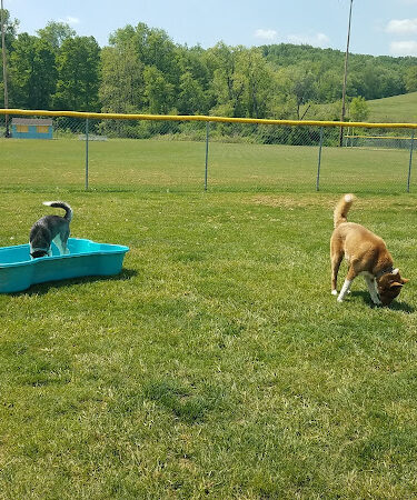 Hancock County Dog Park