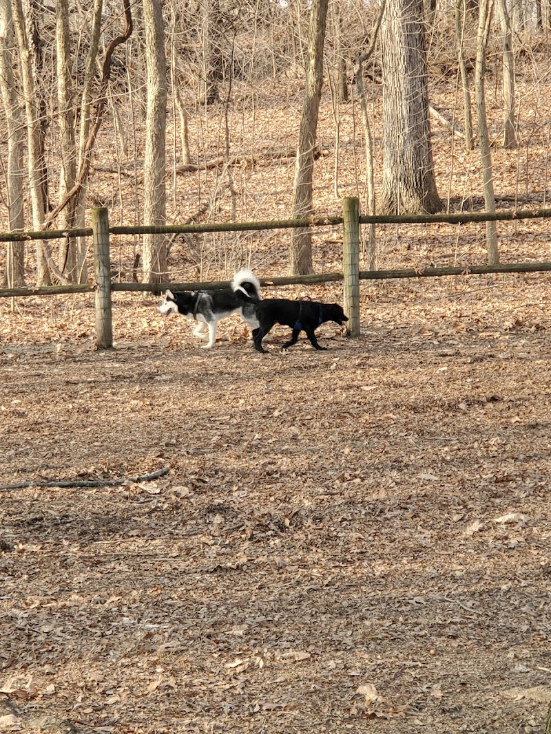 Portage Lakes Dog Park - New Franklin, OH