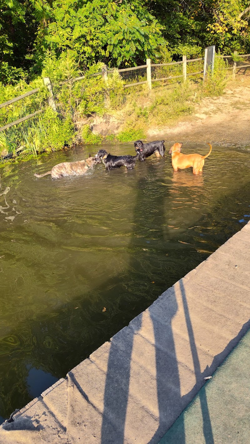Portage Lakes Dog Park - New Franklin, OH