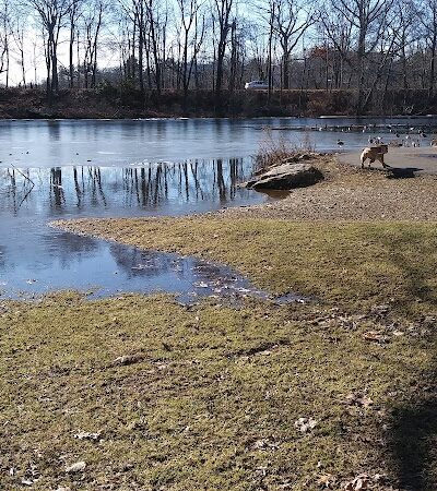Edgewood Park Dog Park - New Haven, CT
