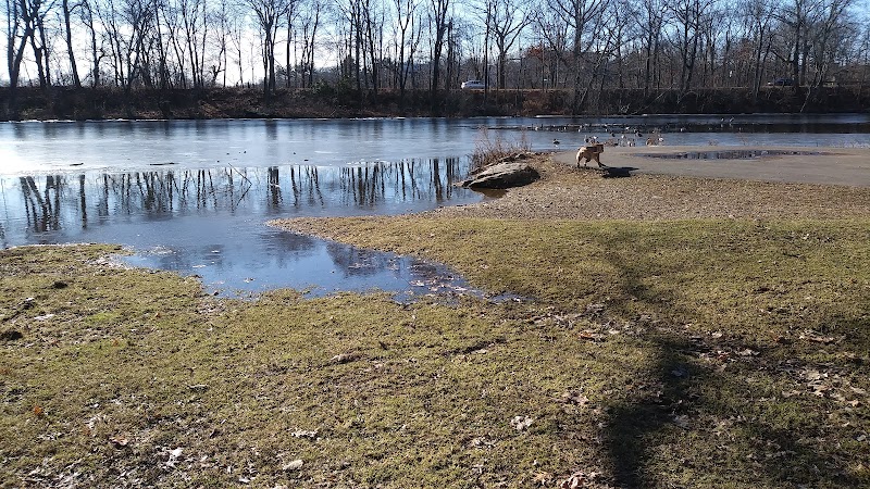 Edgewood Park Dog Park - New Haven, CT