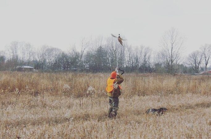 Buckeye Pheasant Hunting Preserve - New Lebanon, OH