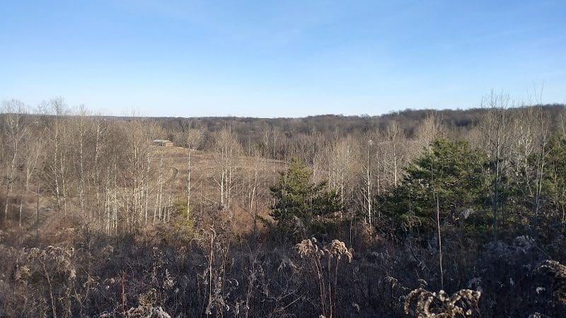 Ludowici Community Foundation Park - New Lexington, OH
