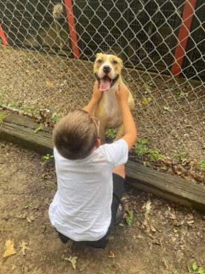Perry County Dog Shelter