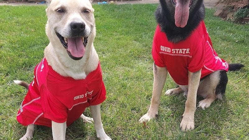 Perry County Dog Shelter - New Lexington, OH