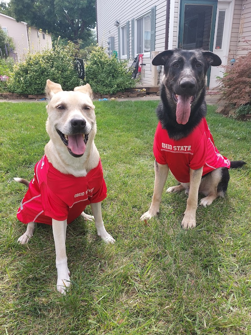 Perry County Dog Shelter - New Lexington, OH