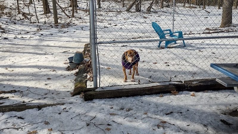 Perry County Dog Shelter - New Lexington, OH
