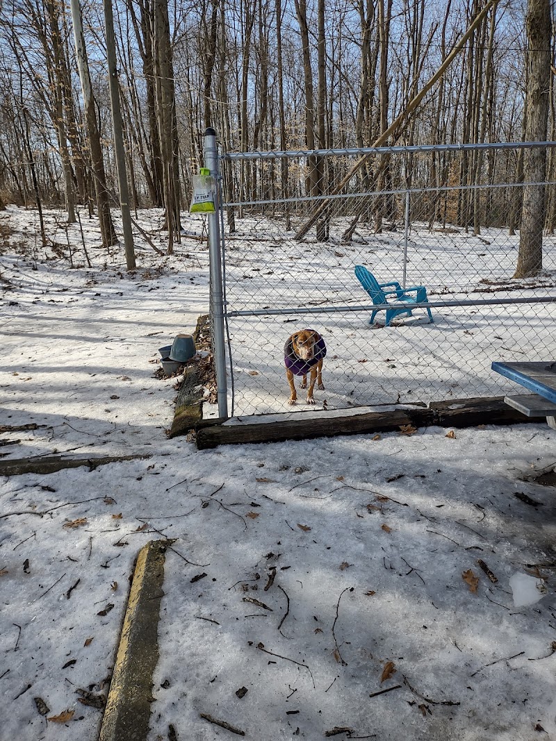 Perry County Dog Shelter - New Lexington, OH