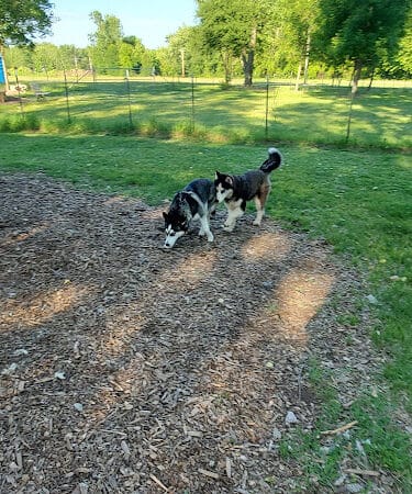NL Jaycees Dog Park