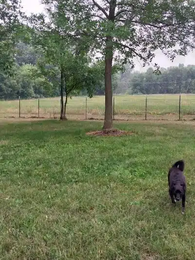 NL Jaycees Dog Park - New London, WI