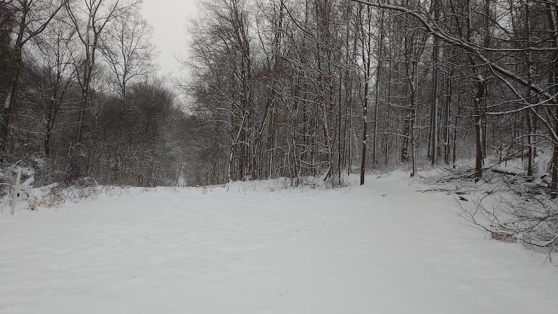 Crider Avenue Trail - New Philadelphia, OH