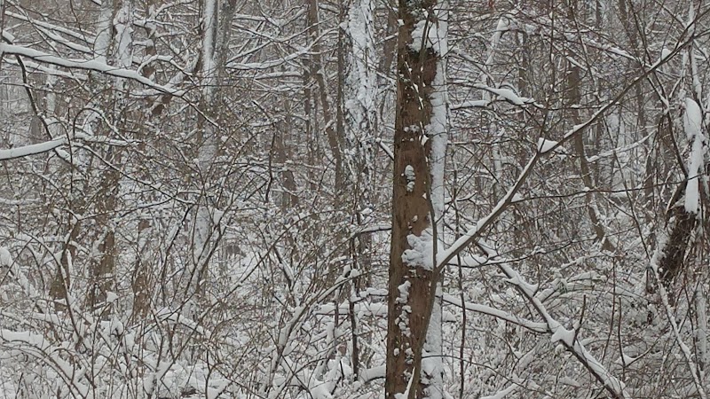 Crider Avenue Trail - New Philadelphia, OH